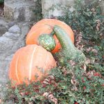 img_1751