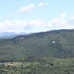 img_9006