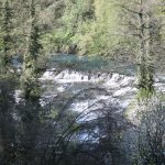 img_0130