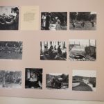 img_2931g