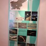 img_2943g