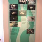 img_2944g