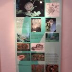 img_2945g