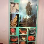 img_2946g