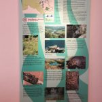 img_2947g