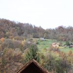 img_2967g