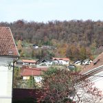 img_2972g