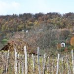 img_3002g