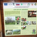 img_3007g