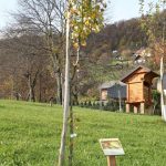img_3010g
