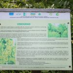 img_3012g