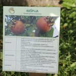 img_3015g