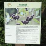 img_3018g