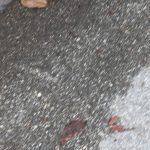 img_3020g