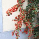 img_3022g
