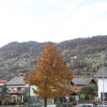 img_3057g