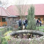 img_3074g