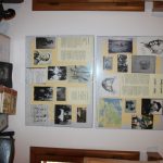 img_3090g