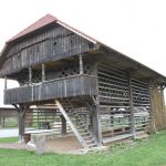 img_5279d