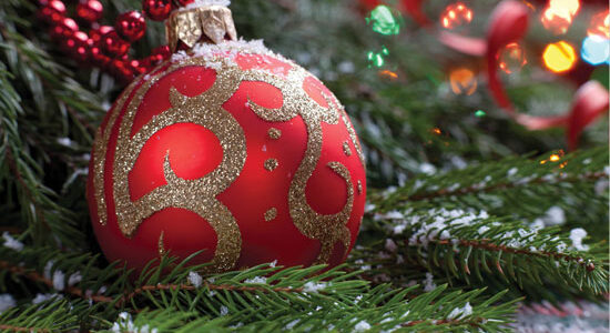 Novo-leto-2014 Novo-leto-2014