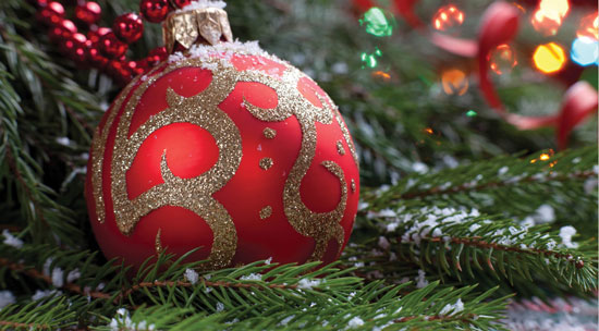 VABILO na Novoletno srečanje 19.12.2024