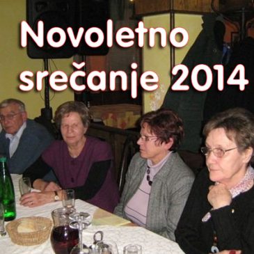 NOVOLETNO SREČANJE 2014