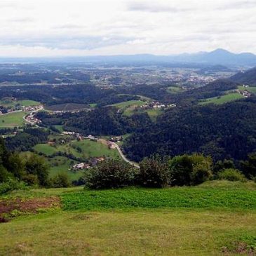 IZLET V DRAVINJSKO DOLINO