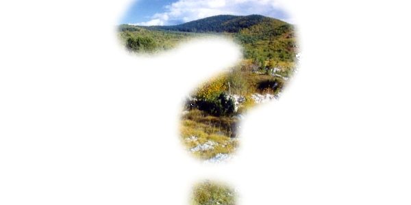 neznano-slika