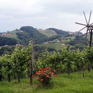 IZLET NA ŠTAJERSKO