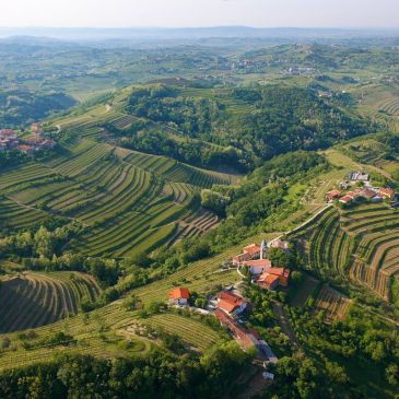 Izlet v GORIŠKA BRDA 2018