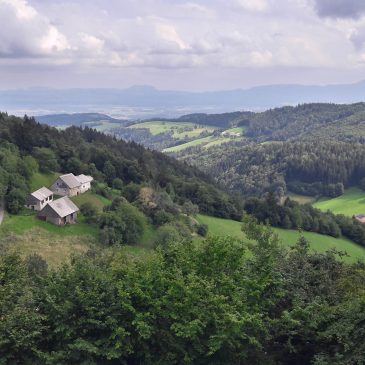 PIKNIK NA SLIVNIŠKEM POHORJU V ANDREJEVEM DOMU 25. julija 2019