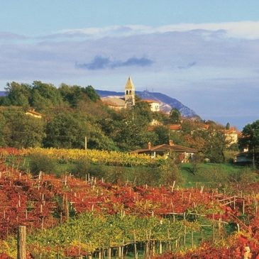 IZLET V VIPAVSKO DOLINO in NA  KRAS 10. aprila 2025