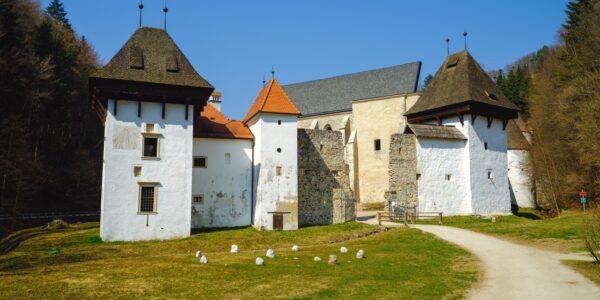 kartuzija